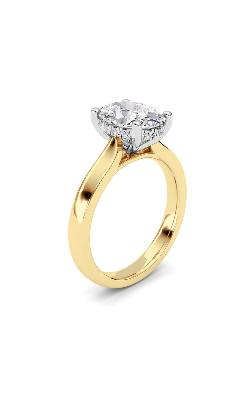 2CTW Oval Shaped Lab Grown Diamond (F/VS) Hidden Halo Cathedral Shank Engagement Ring in 14K Gold