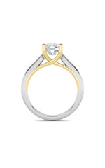 Load image into Gallery viewer, 2.5CTW Elongated Cushion Shaped Lab Grown Diamond (F/VS) Two Tone Cathedral Shank Engagement Ring in 14K Gold
