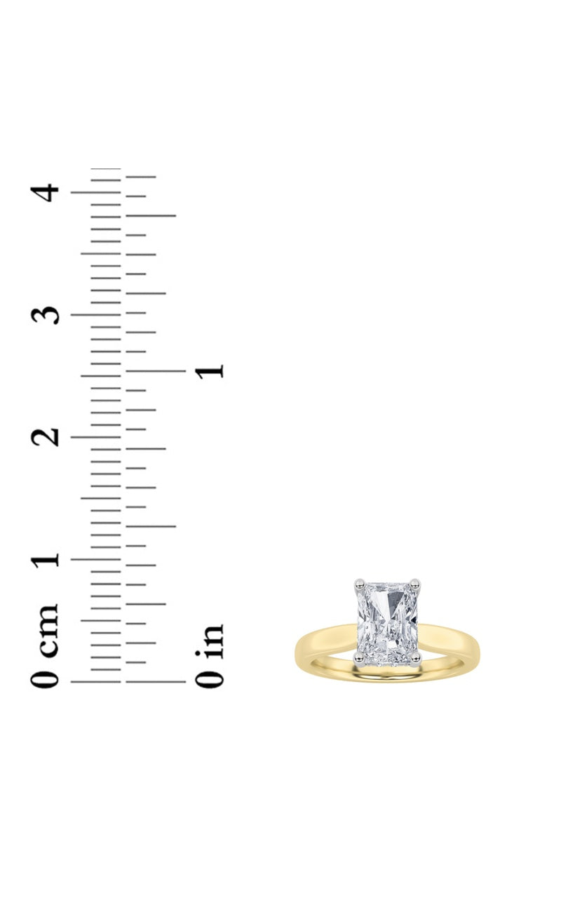 3CTW Radiant Shaped Lab Grown Diamond (F/VVS) Hidden Halo Cathedral Shank Engagement Ring in 14K Gold